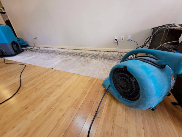 Professional Water Removal technician working in Cocoa, FL